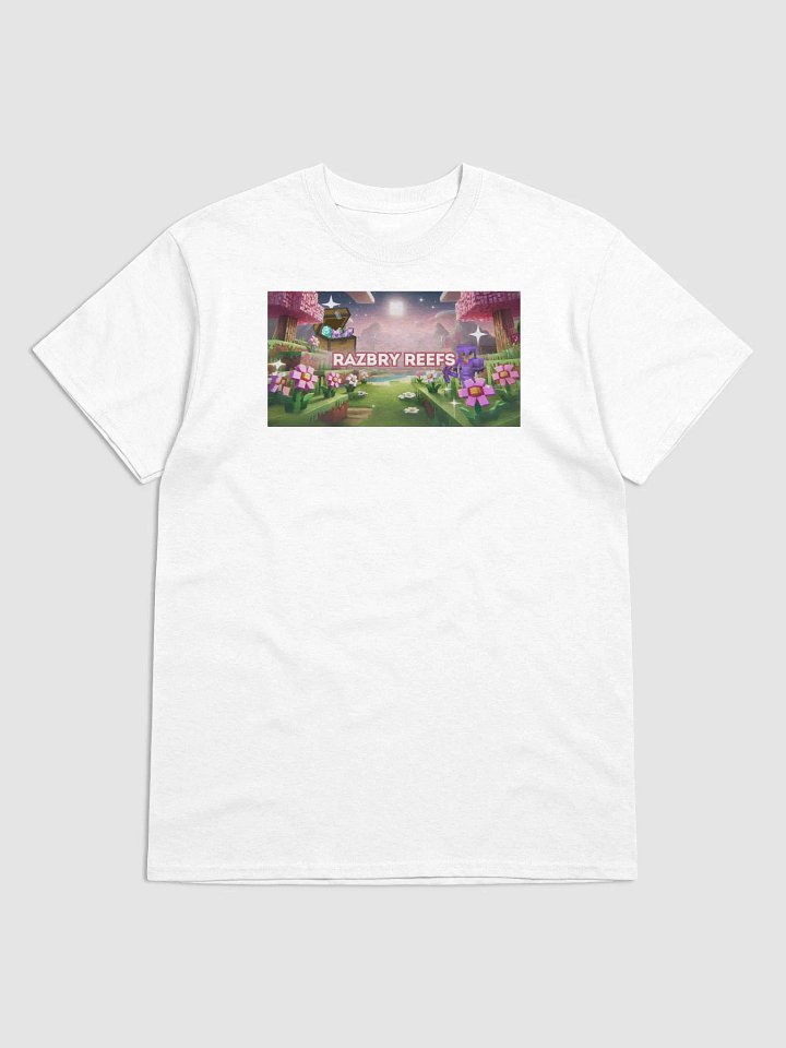 Razbry Reefs Dreamscape Tee product image (3)