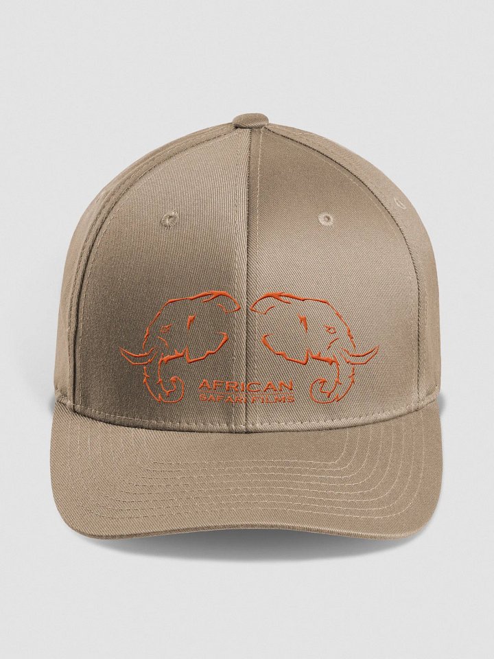 ASF Cap product image (1)