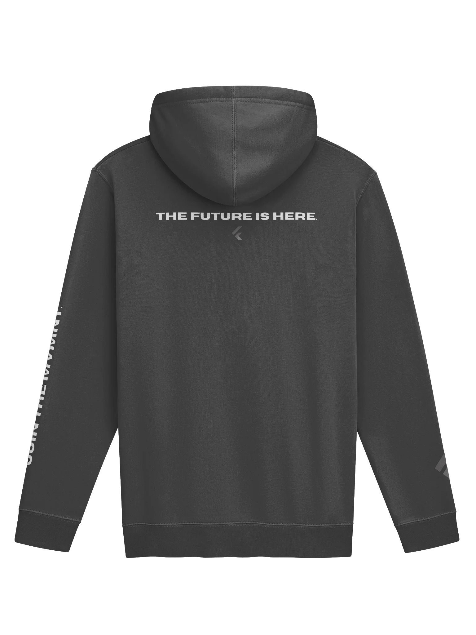 FGTP FALL INDEPENDENT HOODIE product image (2)