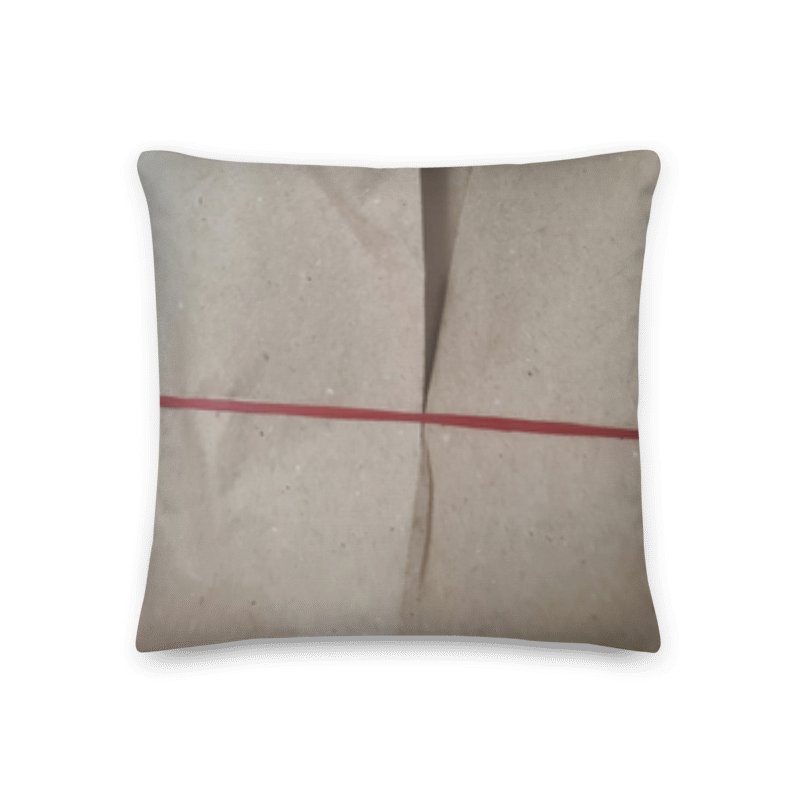 Char Siew Rice Decorative Pillow product image (2)