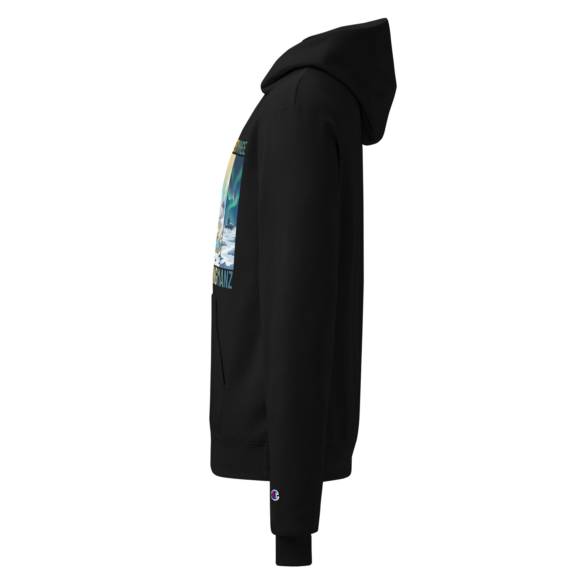 I’ve Been Everywhere – DayZ Hoodie product image (3)