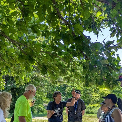 Tree Identification class with Roland 