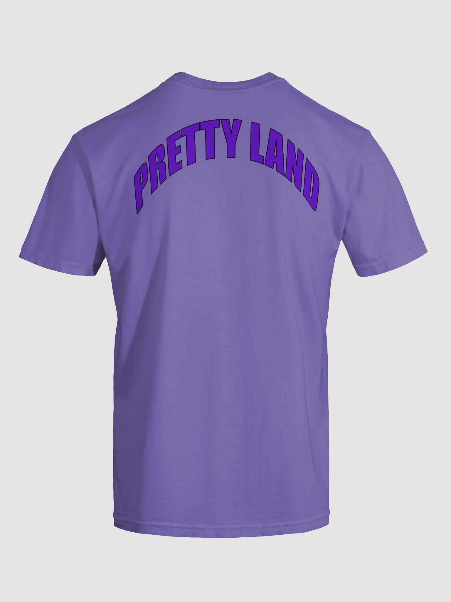 Violet "Pretty Land" Tee product image (4)