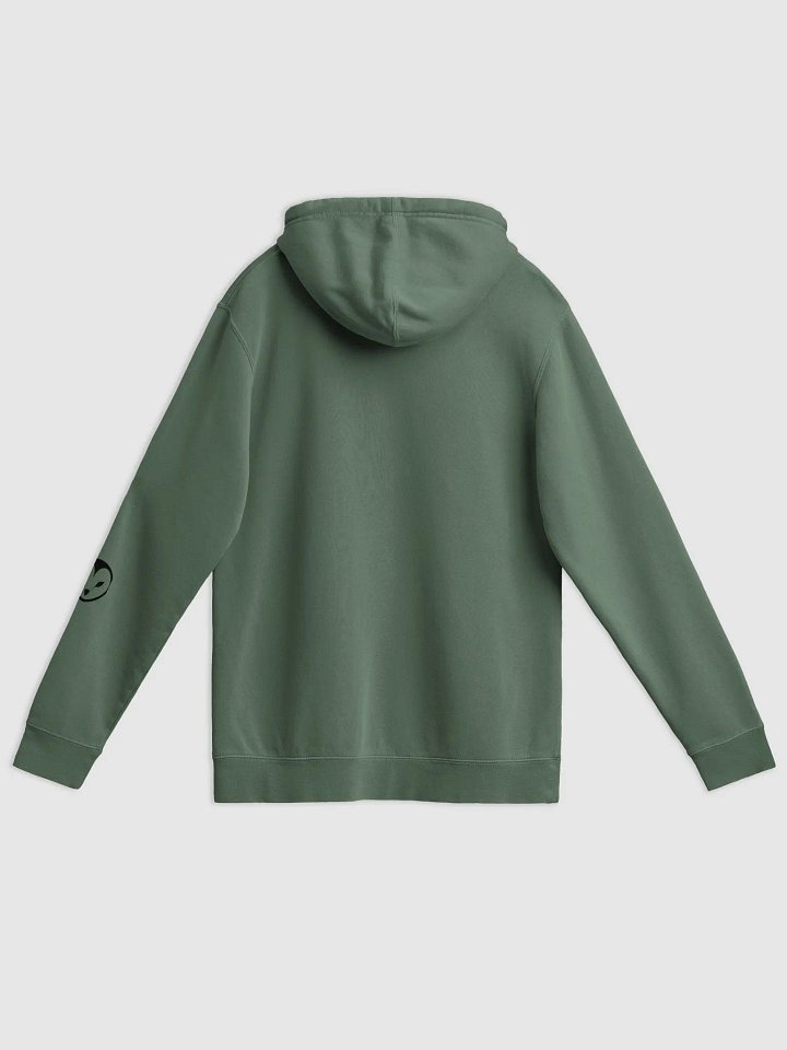 Vintage Omen Hoodie product image (19)