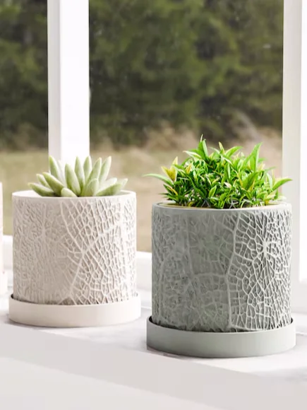 Leaf Textured Planter Pot with Drip Tray product image (2)