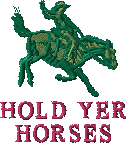 hold yer horses embroidered crewneck product image (2)