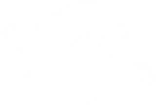 Sp8Ghost