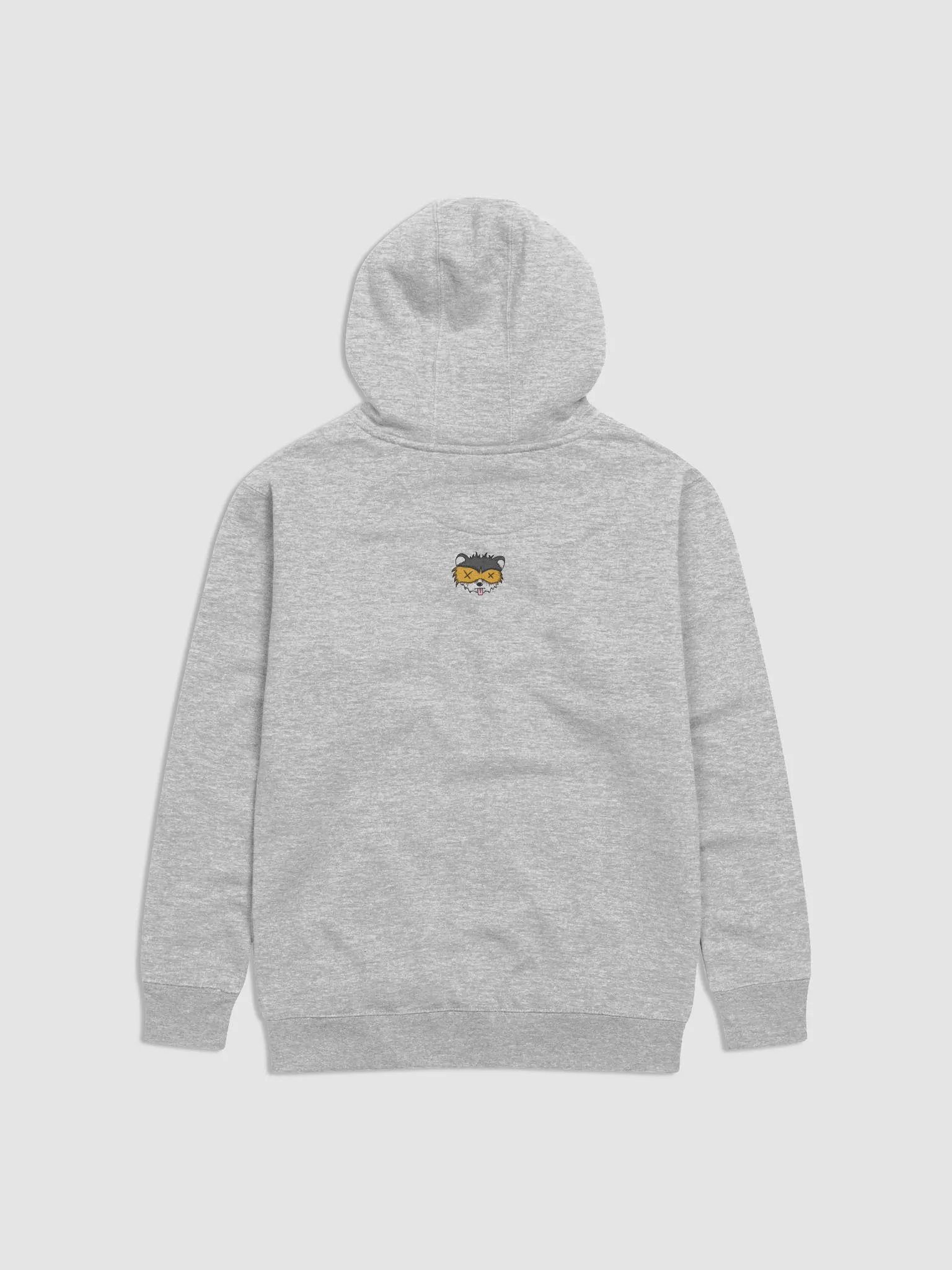 Rainbow Swipe Hoodie product image (12)