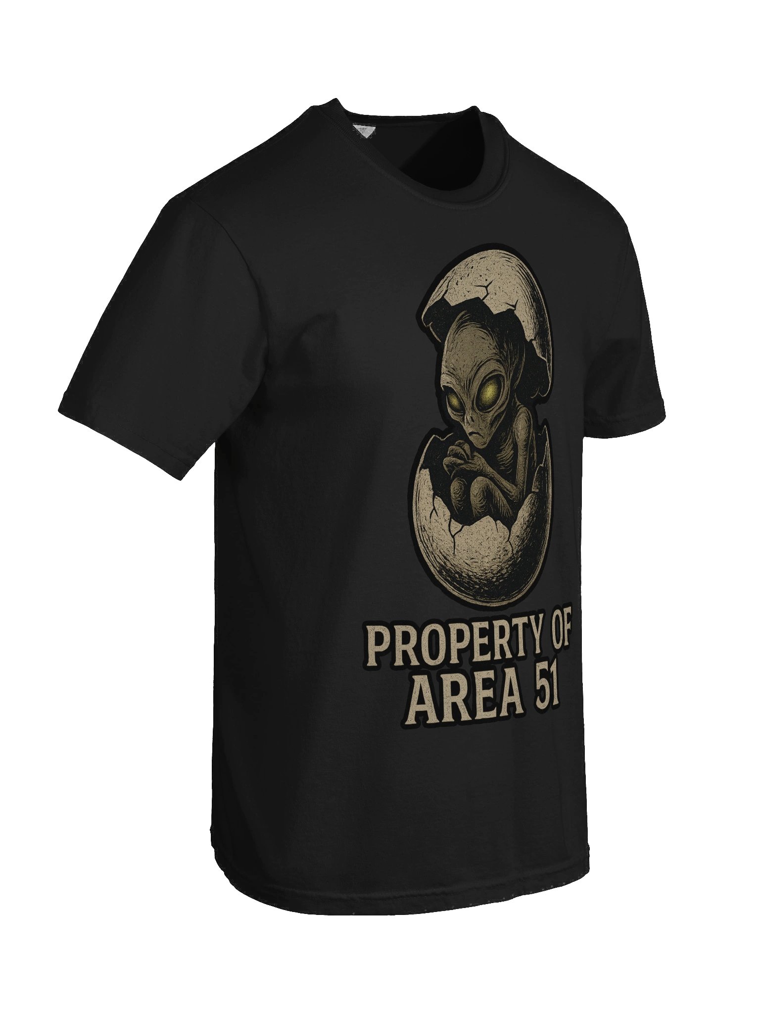 Property of Area 51 Tee product image (8)