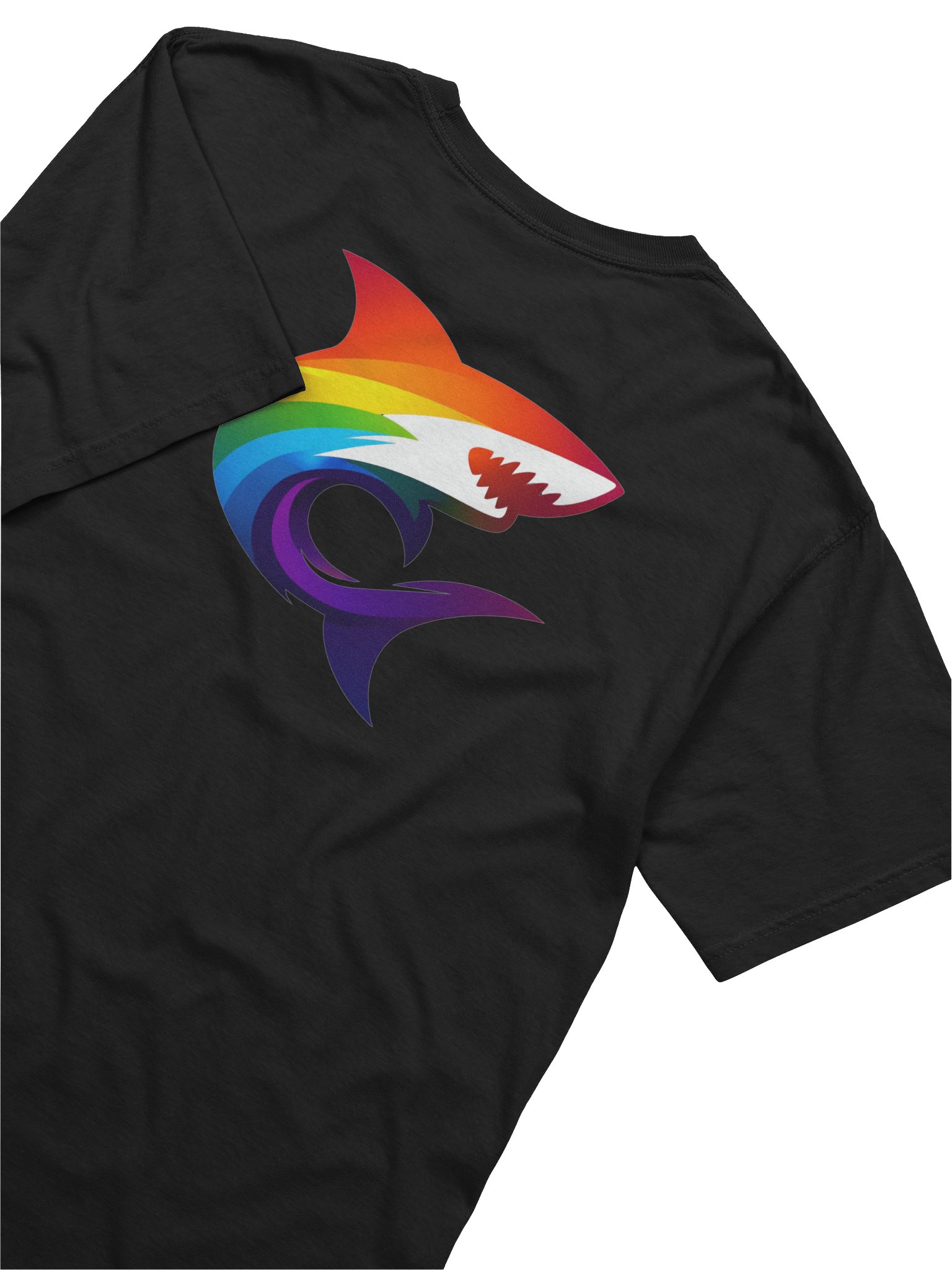 Classic Paytonics logo PRIDE edition product image (17)