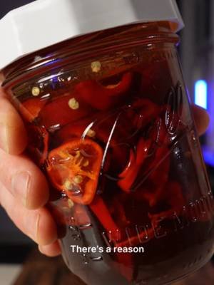 This is one of those things you make once and suddenly start putting on everything. Red jalapeños + habaneros + raw honey. No vinegar. No cooking. Just time and fermentation. Full fermentation system in my bio. #hothoney #fermentedhoney #fermentation #habanero #jalapeno #fermentedfoods #realfood #brinelab #dishbydavid