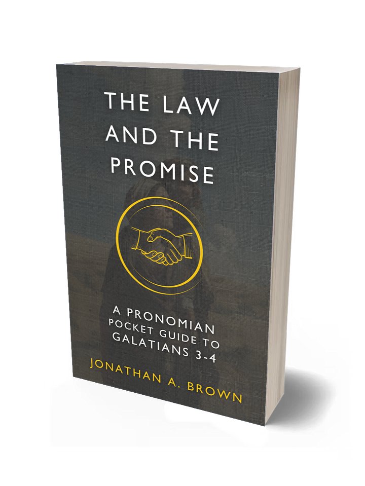 The Law and the Promise: A Pronomian Pocket Guide to Galatians 3–4 product image (1)
