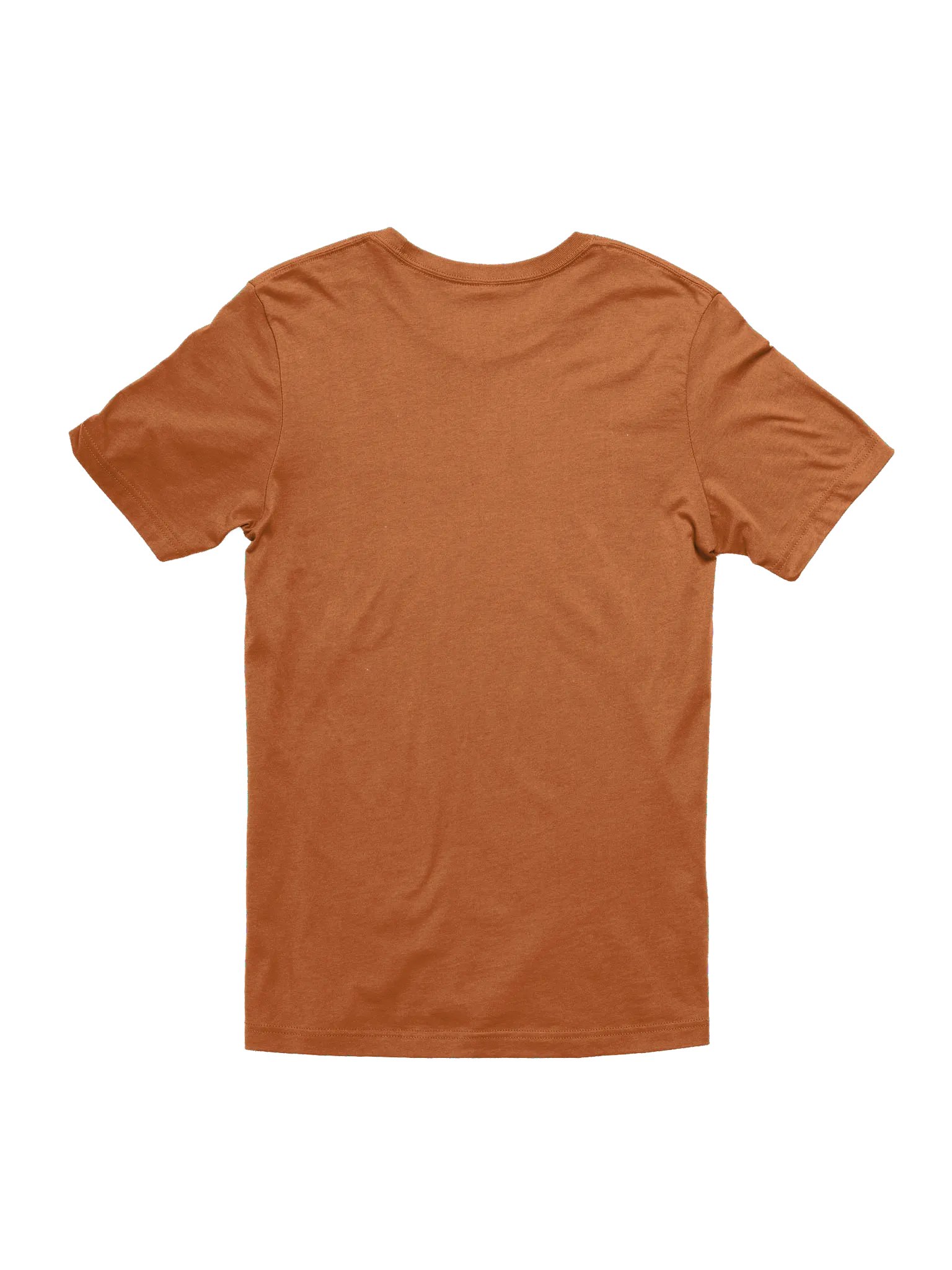 Super Soft Beaver Family Tee With Color Options product image (15)
