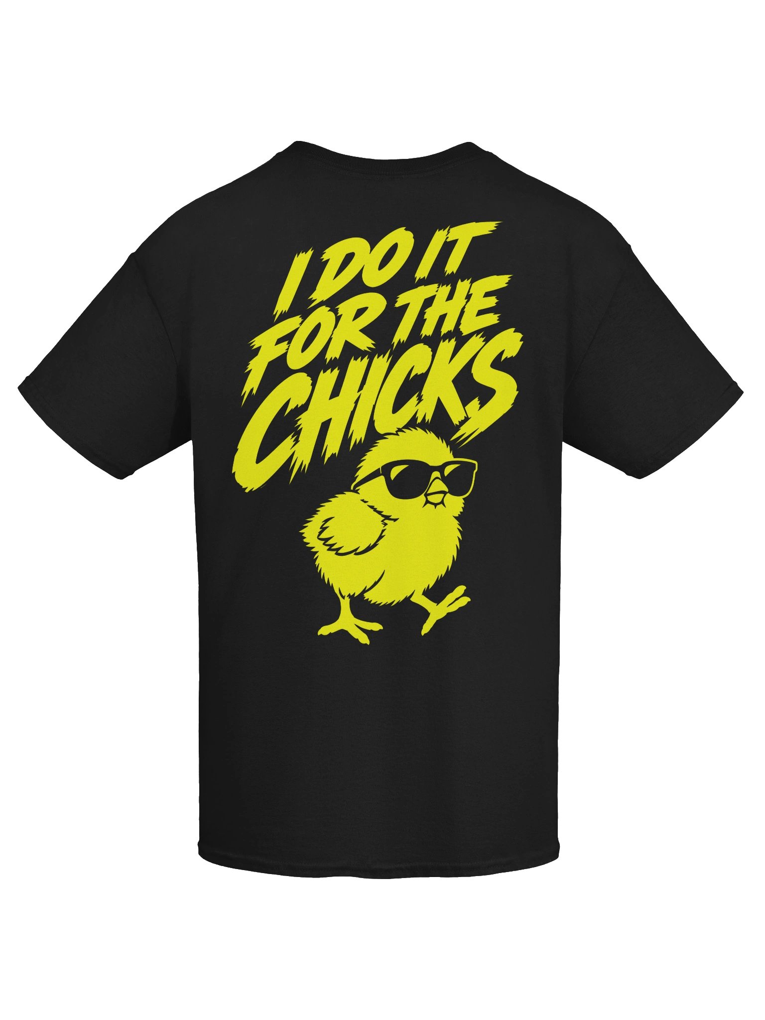 I Do It for the Chicks T-Shirt product image (7)