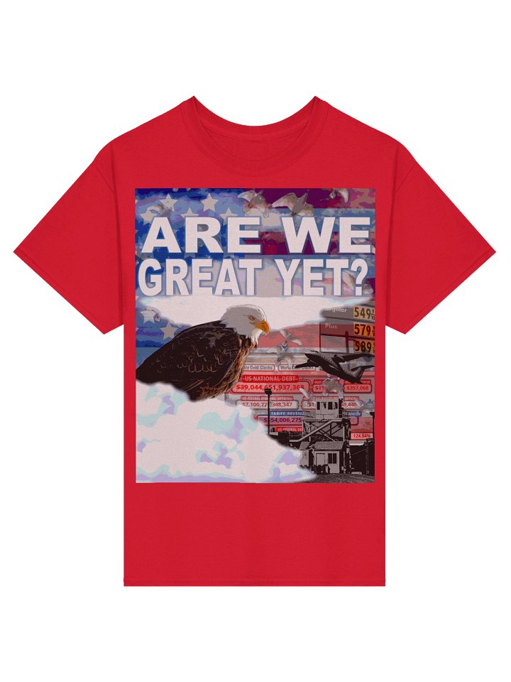 AMERICA HAS A PROBLEM... - T-SHIRT product image (37)