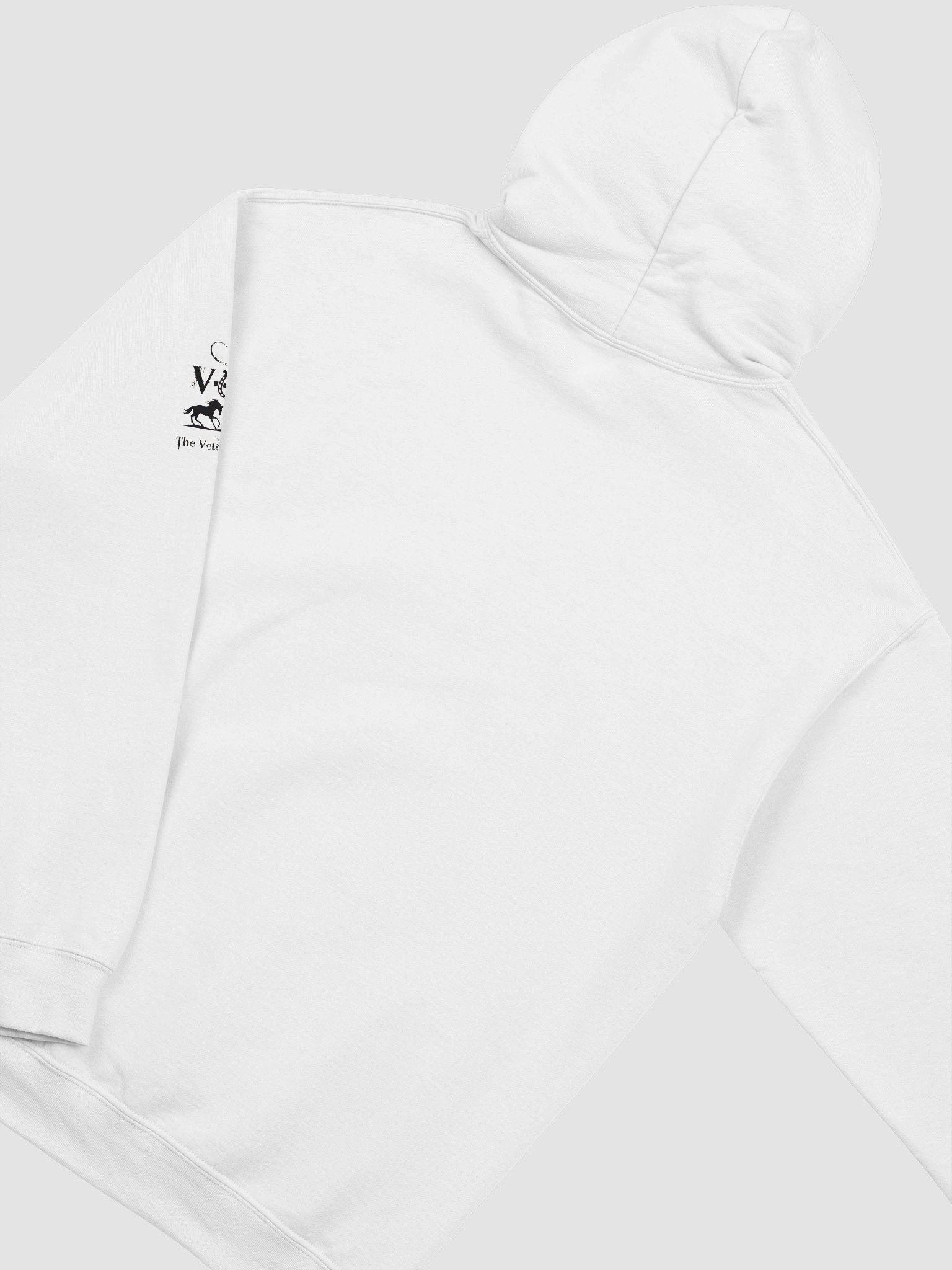 God Bless Texas Hoodie product image (4)