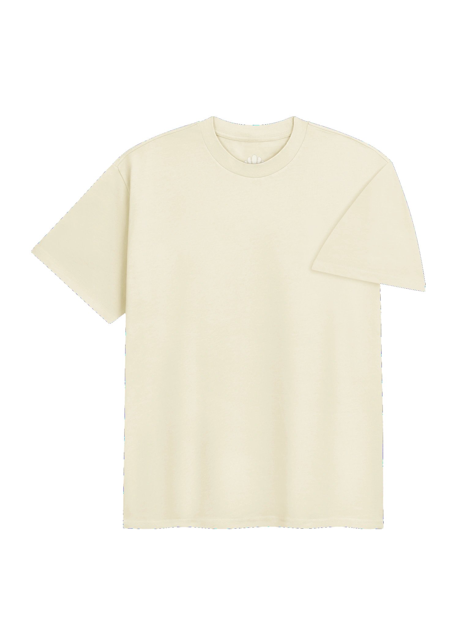 Privacy Is Normal Boxy Heavy Tee product image (12)
