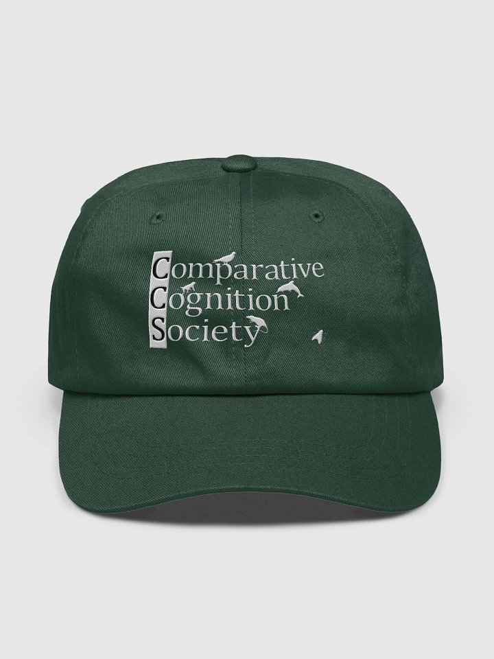 2026 CO3 Baseball Cap (Starling) product image (1)