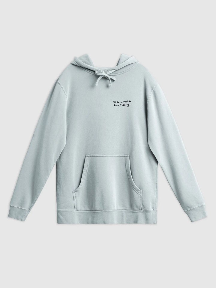 It is normal to have feelings. (sm. design) printed pigment hoodie product image (1)