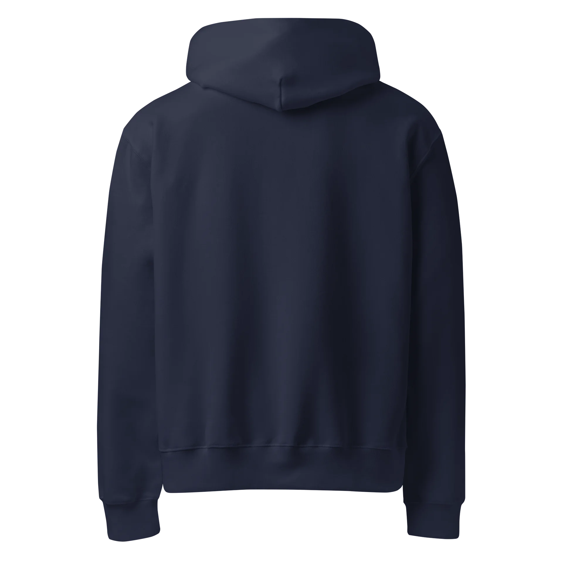 Fulton Chain Of Lakes Oversized Hoodie product image (2)