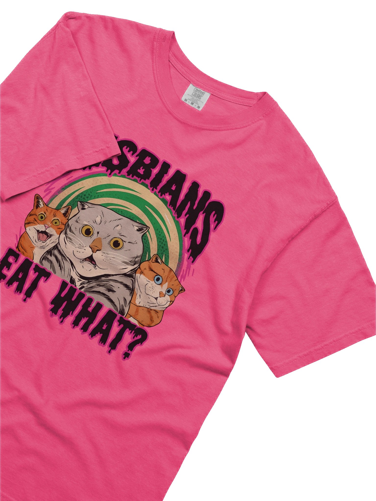 Funny 'LESBIANS EAT WHAT?' T-Shirt product image (82)