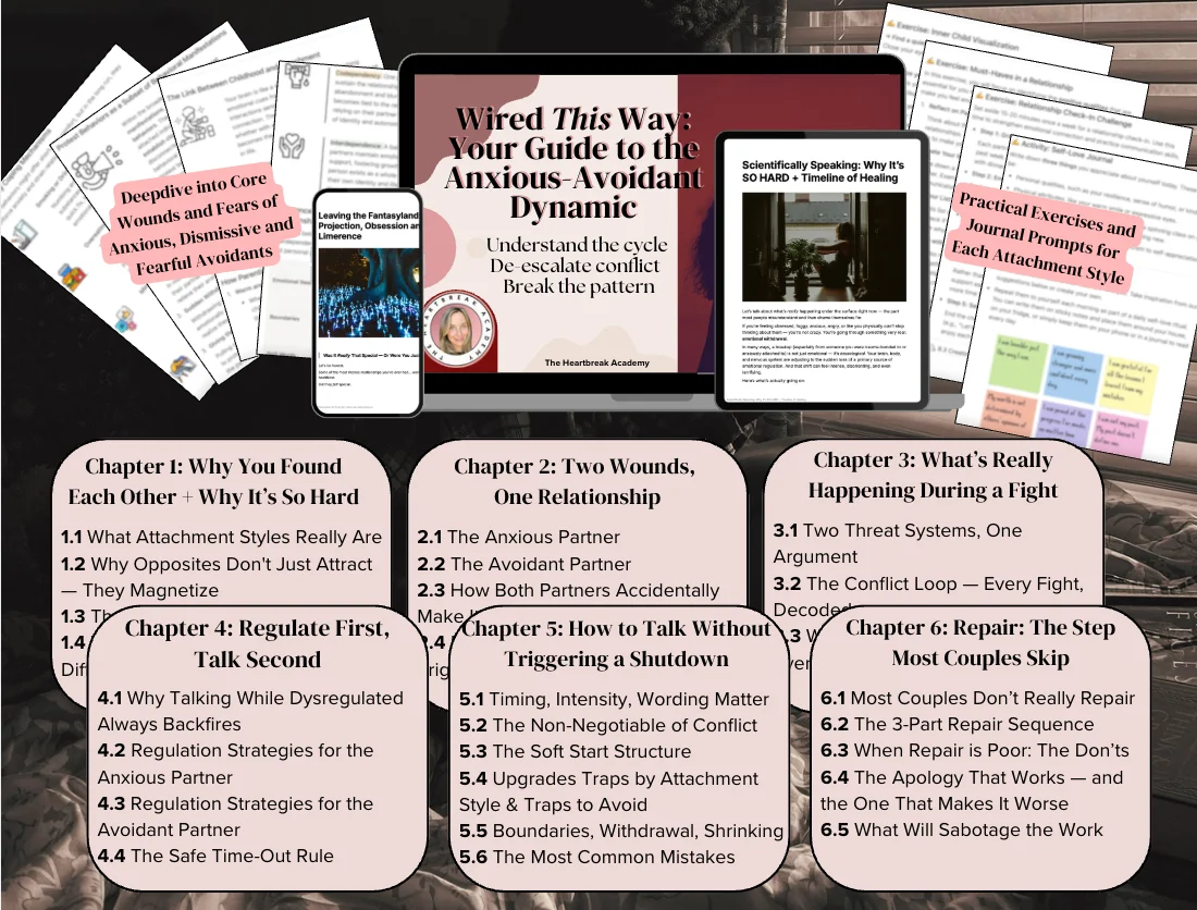 Guide to the Anxious-Avoidant Dynamic product image (9)