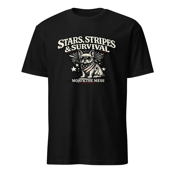 Stars and Stripes product image (1)