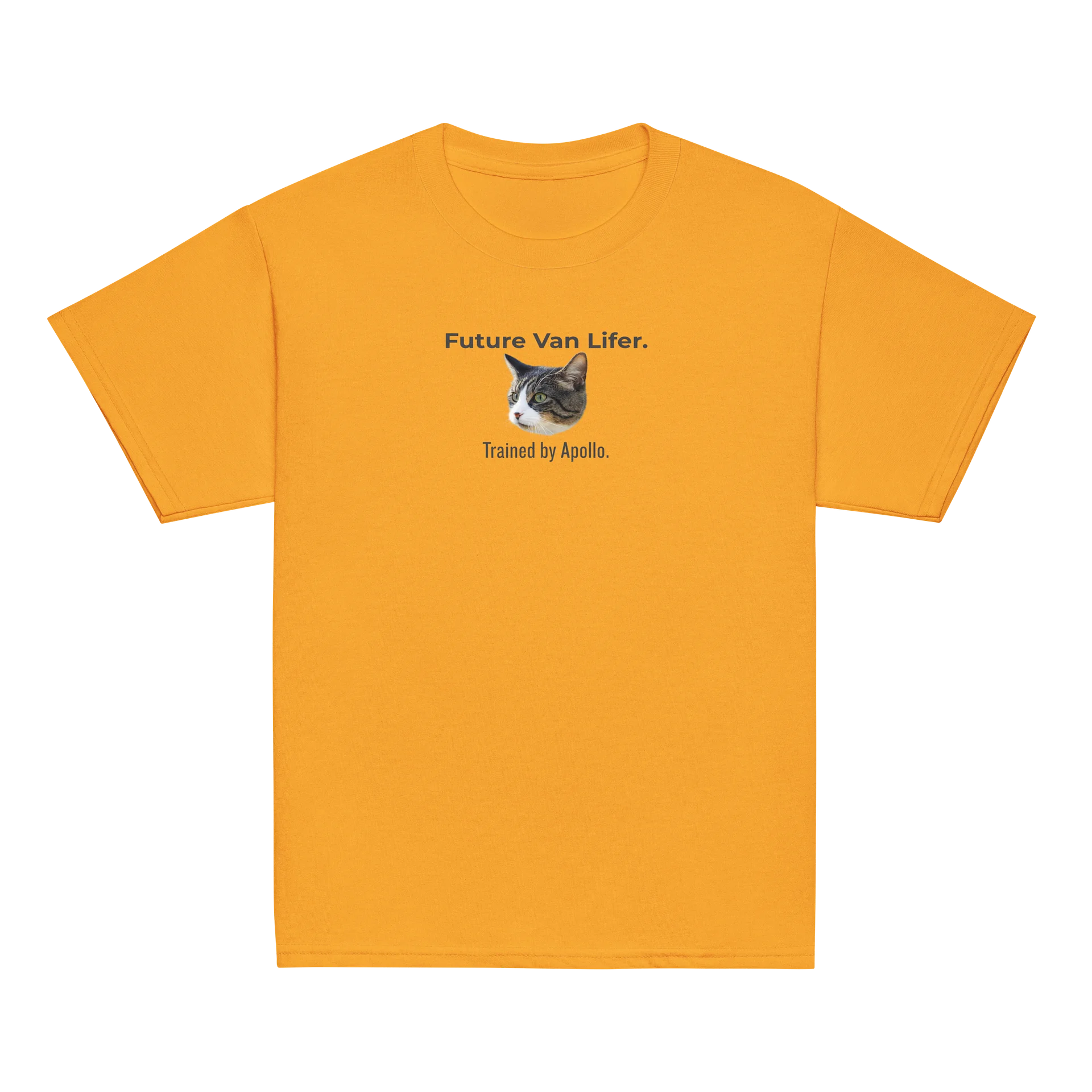 Future Van Lifer Kids Tee (Apollo Approved) product image (7)