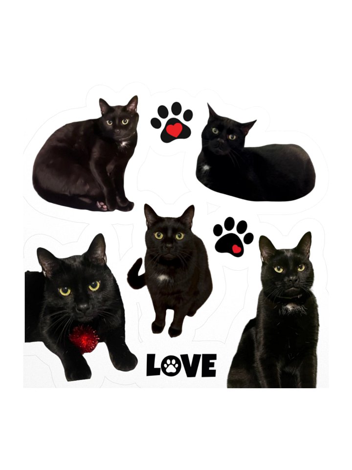 Catan - Black Cat Stickers product image (1)