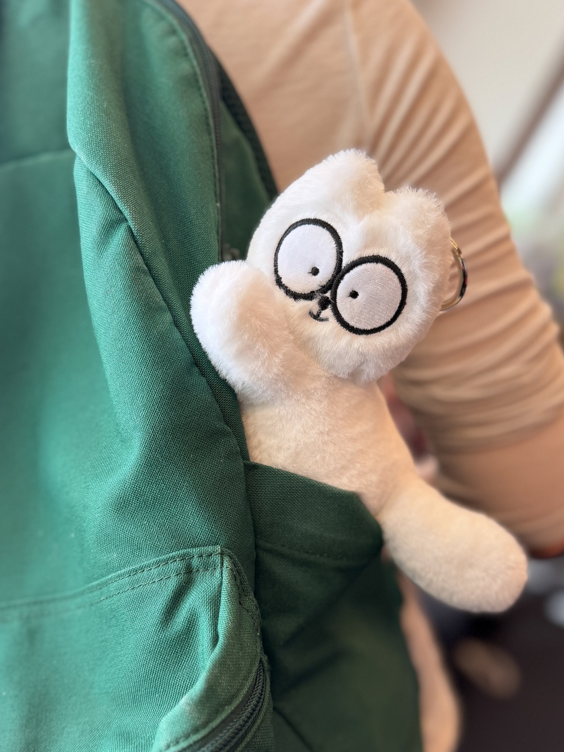 PRE - ORDER - Cat Plushie Bag Charm product image (1)