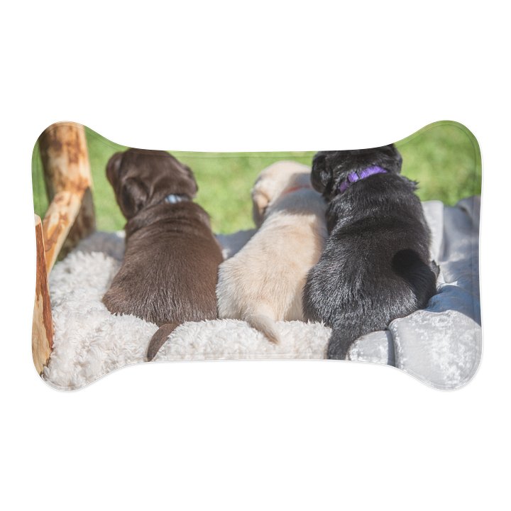 Dog Bowl Mat product image (2)