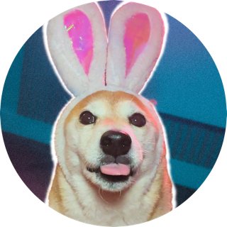 Eevee Bork Merch Shop