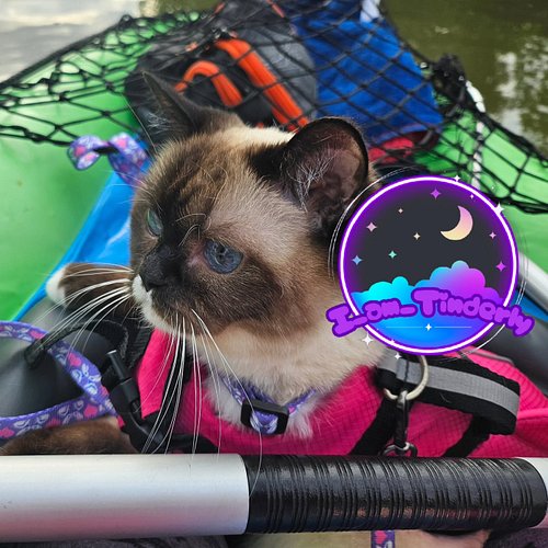 *hangs up sign* Gone Kayaking #lakepeople #LakeLife #cat #ILoveHer #ILoveMyCat