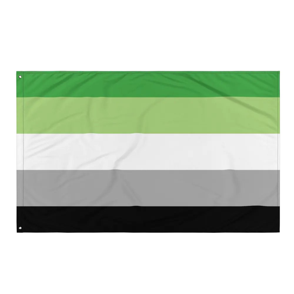 Aromantic Flag product image (3)