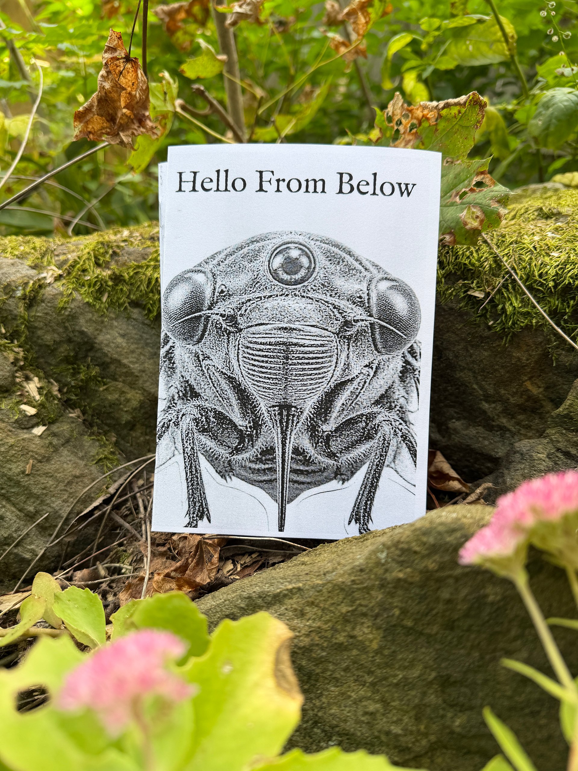 Hello From Below: A Cicada Zine product image (2)