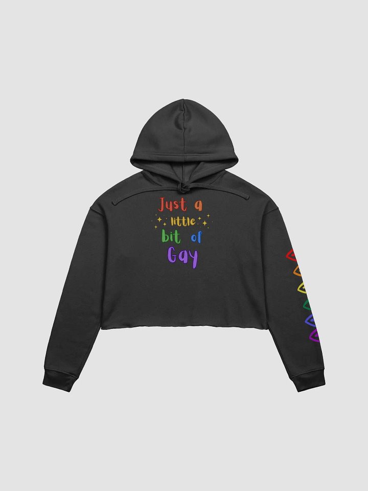 just a little gay crop hoodie product image (1)