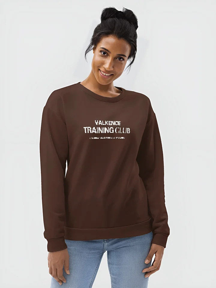Training Club Sweatshirt - Mocha product image (2)