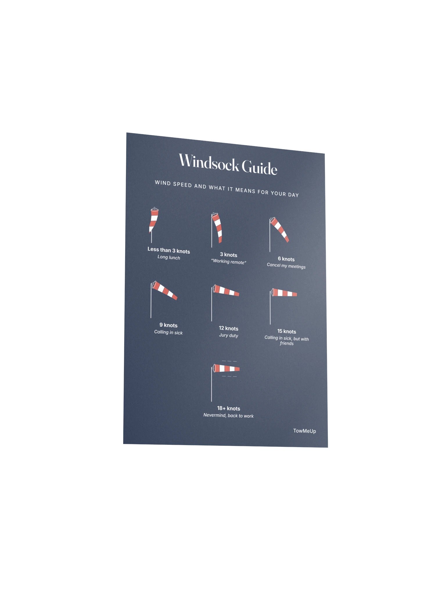 Windsock Guide poster product image (3)