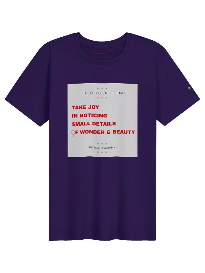 Take Joy in Noticing Small Details of Beauty and Wonder Tee product image (2)