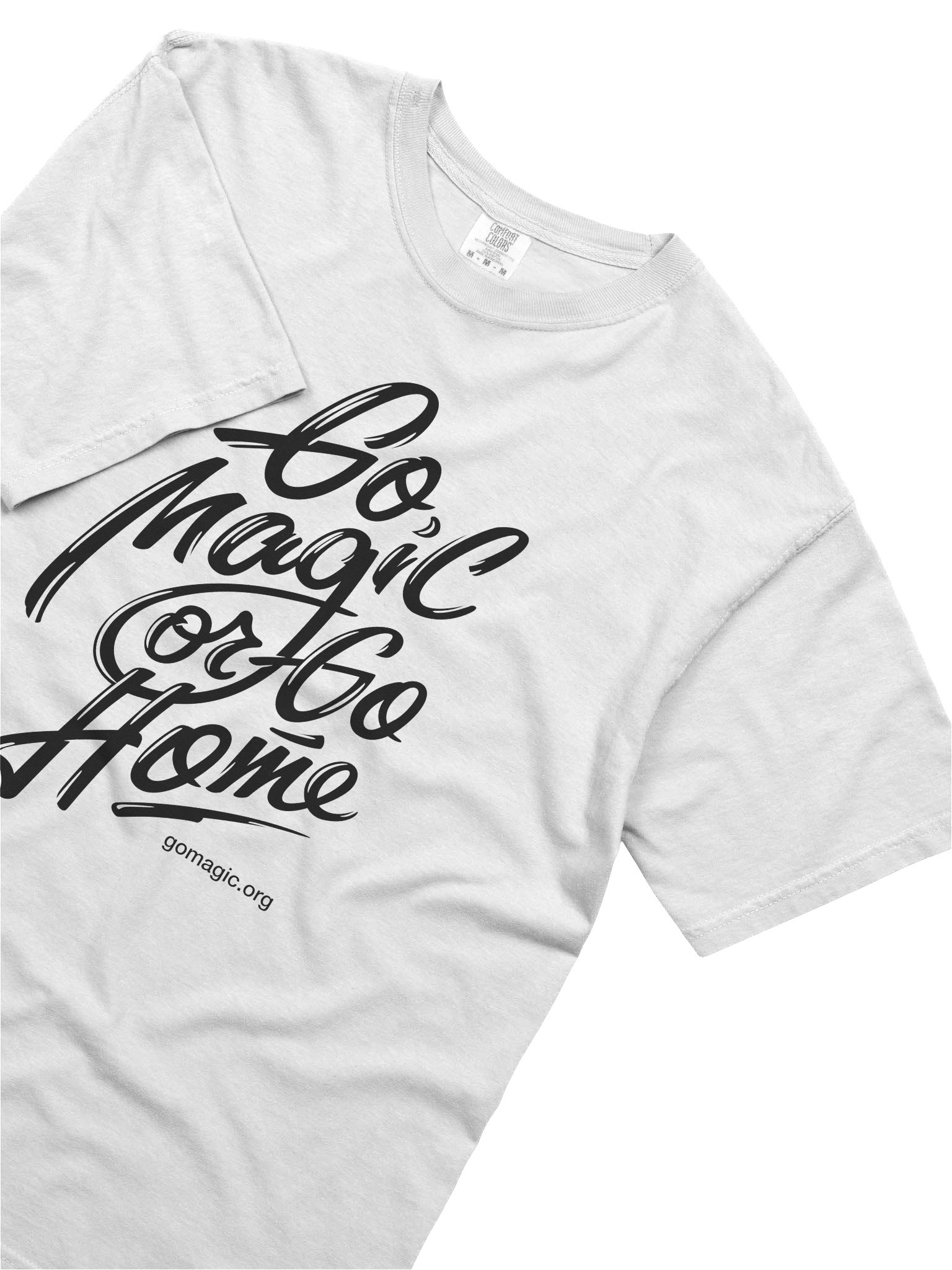 T-Shirt: Go Home product image (2)
