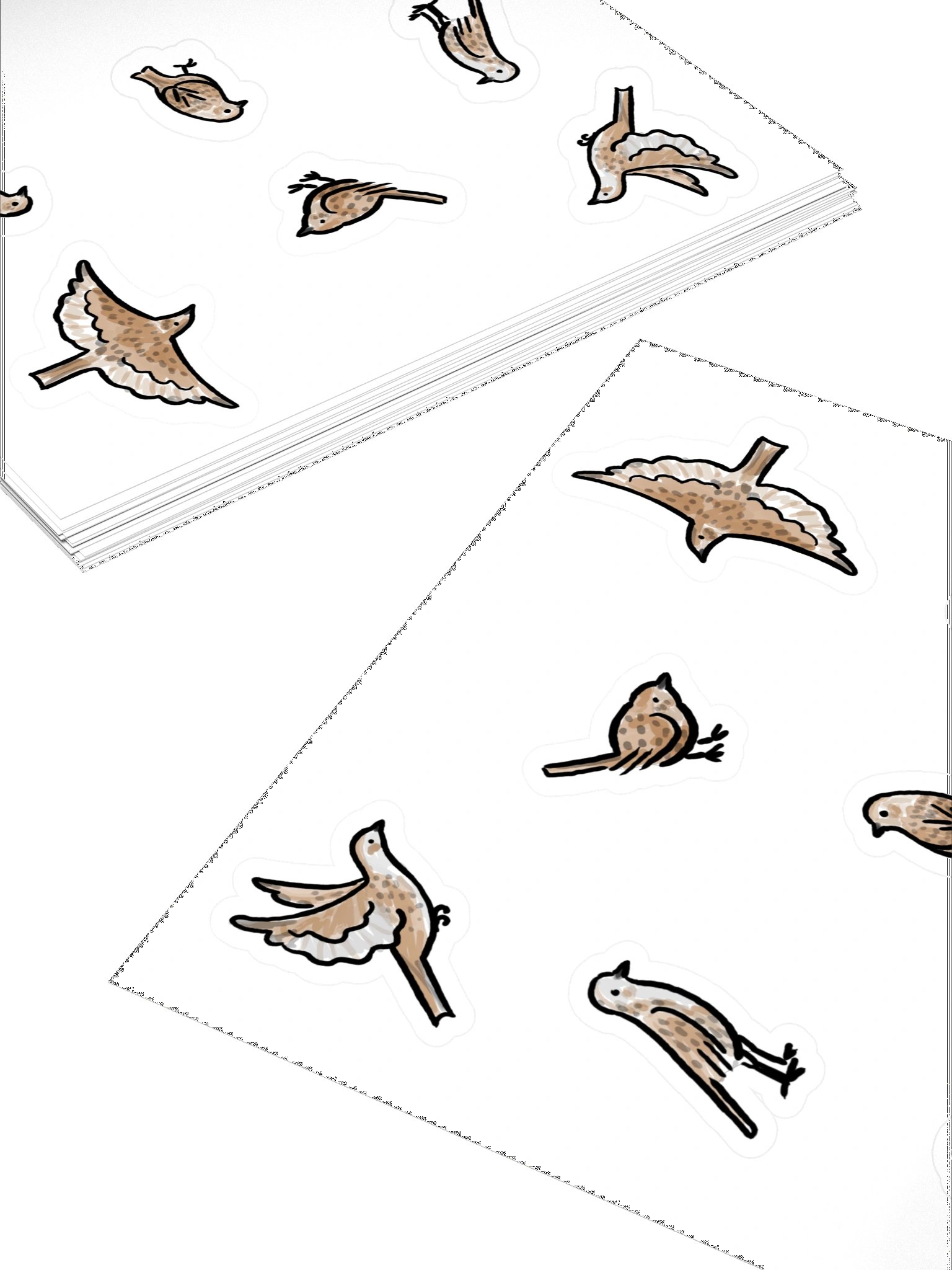 cute dunnock birds product image (4)