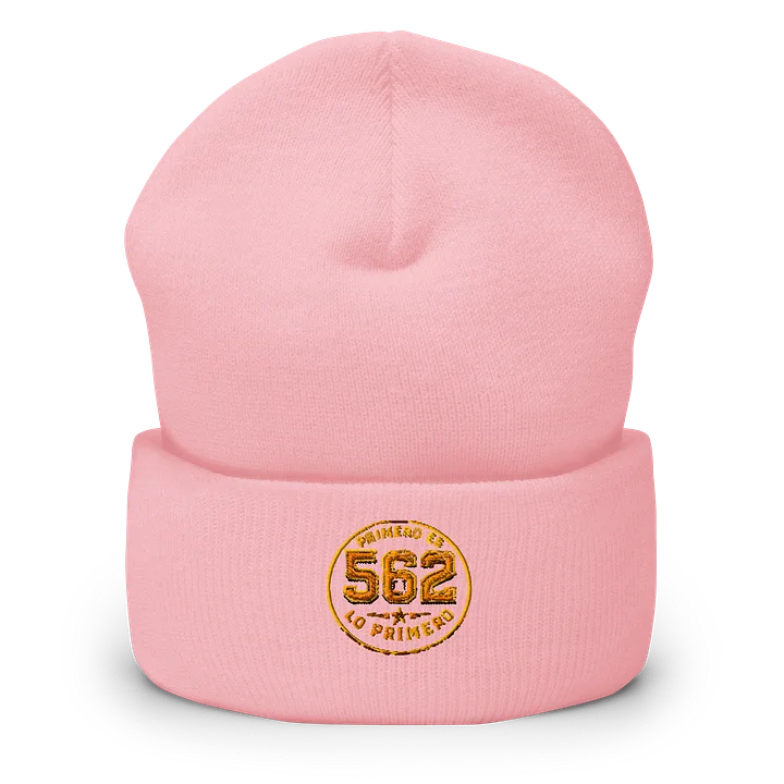 Chava562Inc 562 Signature Beanie product image (9)