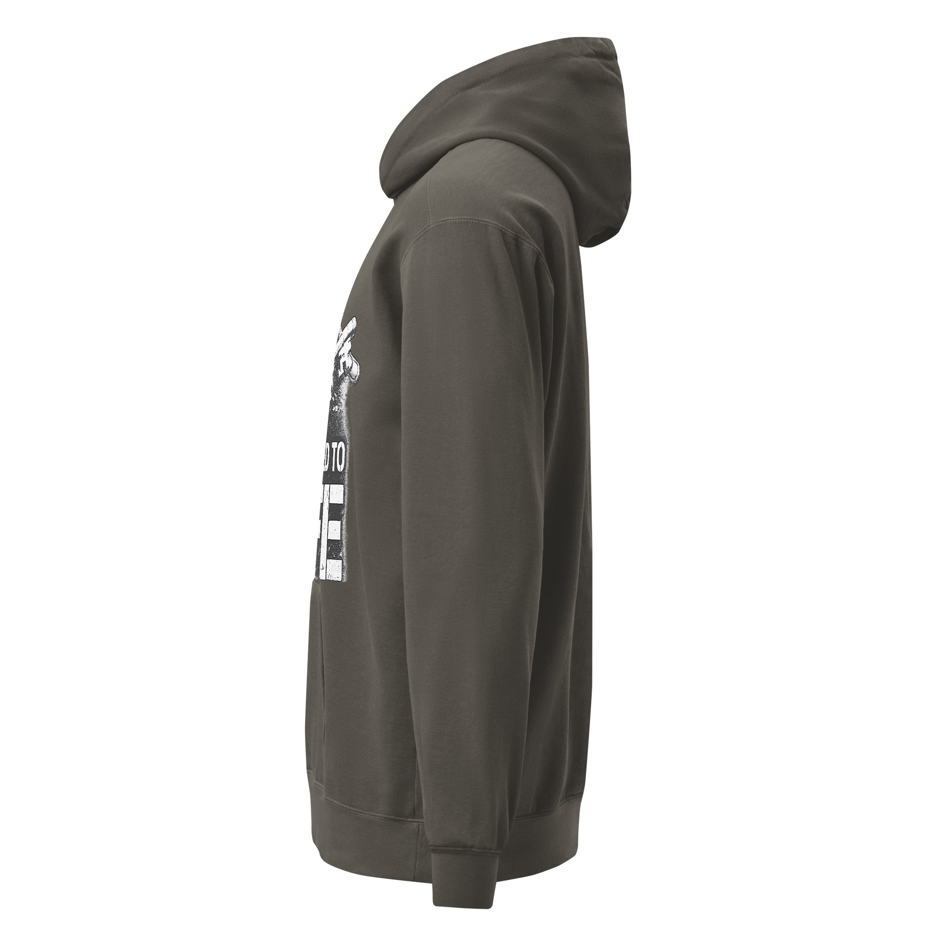 Sentenced to Life Hoodie — A Statement by Anthony Johnson Sr. product image (5)