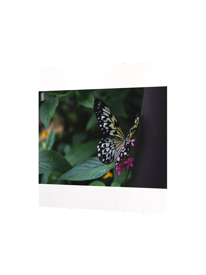 A Yellow Butterfly on Pink Flowers product image (4)