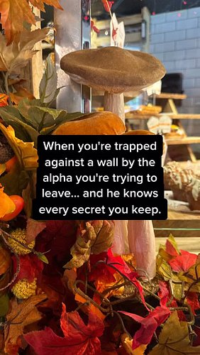 I’m melting… 

#shifterromance #witchromancebooks #fallromance