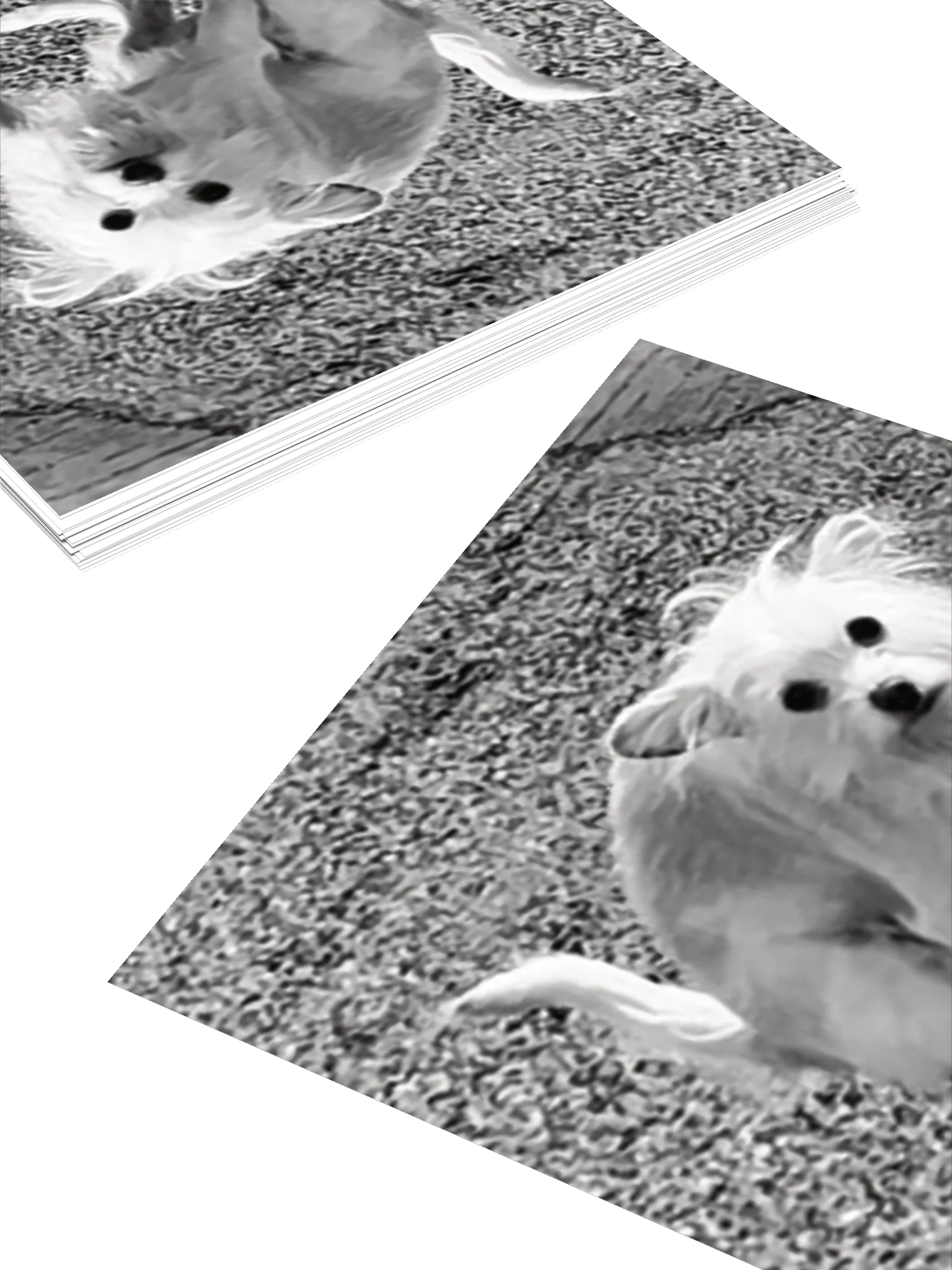 Charlie Shits Sticker product image (12)