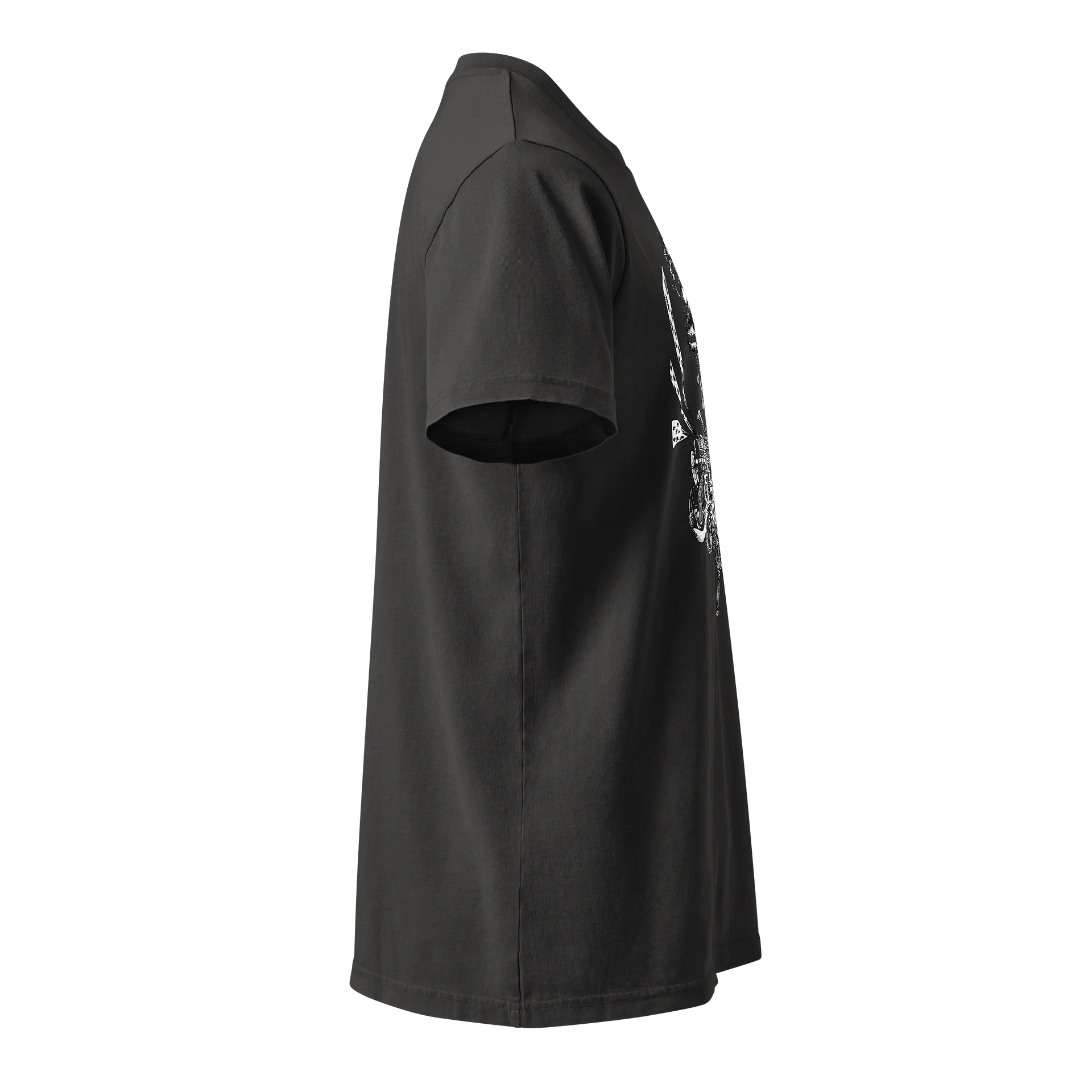 companion shirt product image (5)