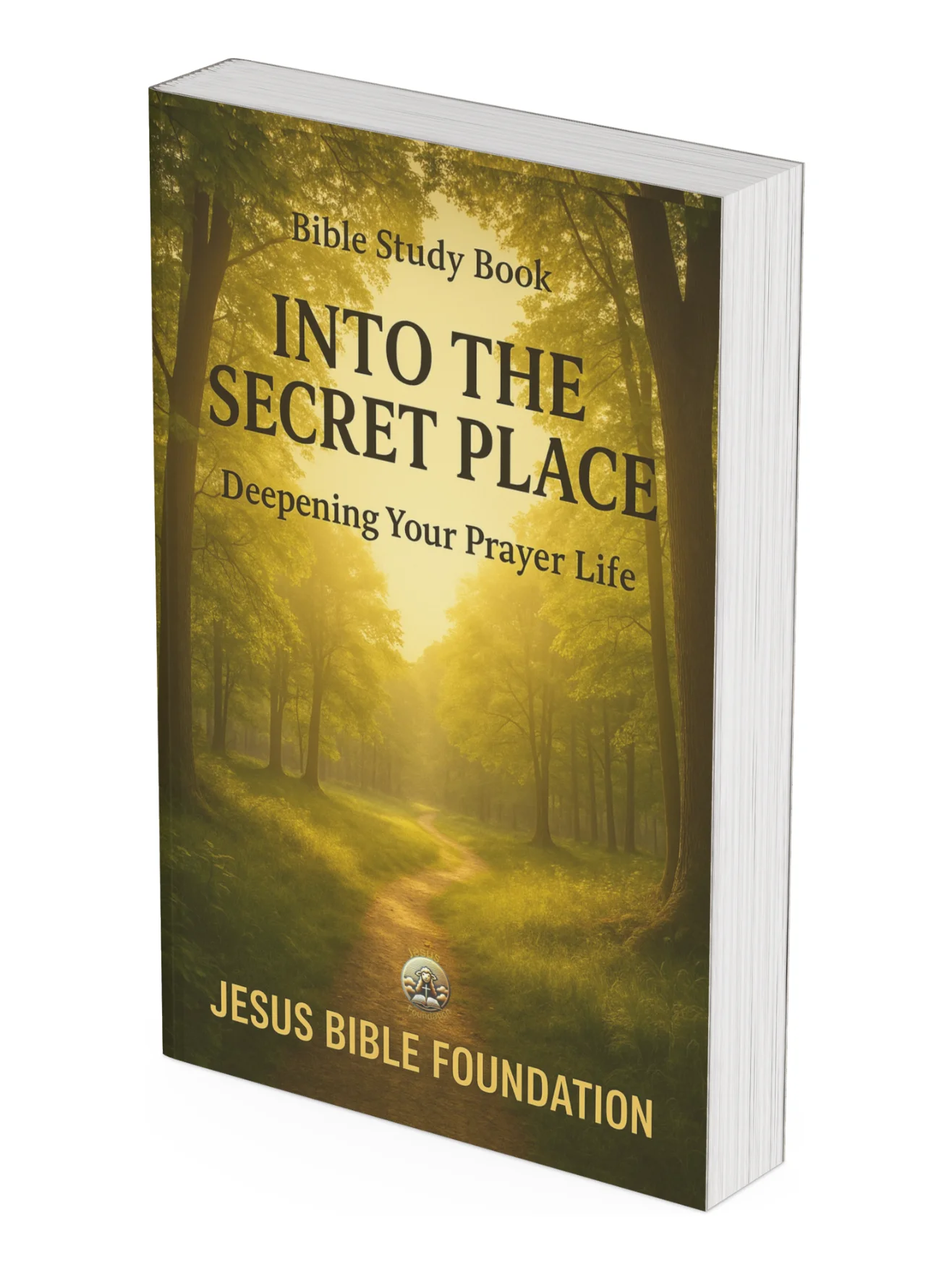Bible Study Book Into the Secret Place: Deepening Your Prayer Life product image (1)