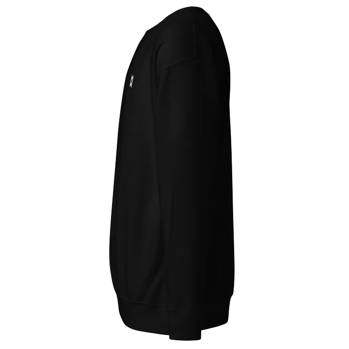 SWEATSHIRT product image (5)
