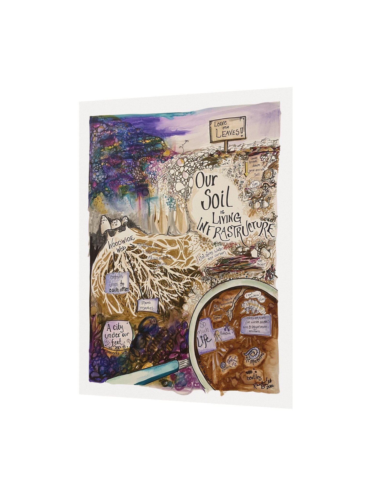 "Soil is Living Infrastructure" (Poster) product image (2)